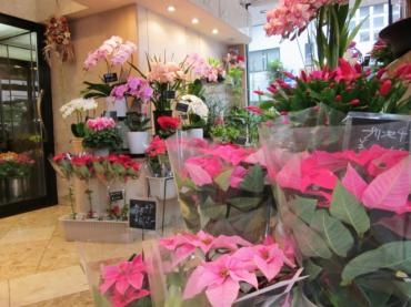 入荷しました！｜「川惣花店」　（岐阜県大垣市の花キューピット加盟店 花屋）のブログ