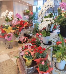 もうすぐ母の日！｜「川惣花店」　（岐阜県大垣市の花キューピット加盟店 花屋）のブログ