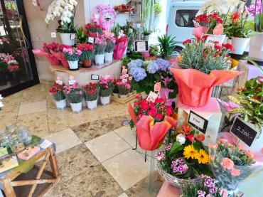 母の日２０２３|「川惣花店」　（岐阜県大垣市の花屋）のブログ