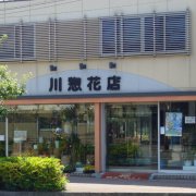 「川惣花店」　（岐阜県大垣市）の花屋店舗写真2